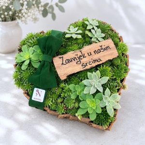 Srce od sukulenta