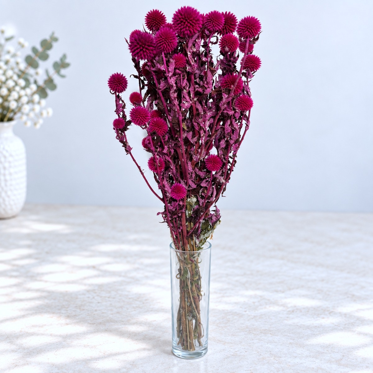 Echinops magenta– suho cvijeće